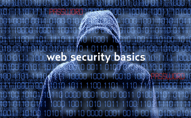 web security in patna